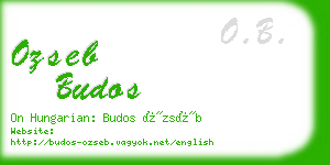 ozseb budos business card